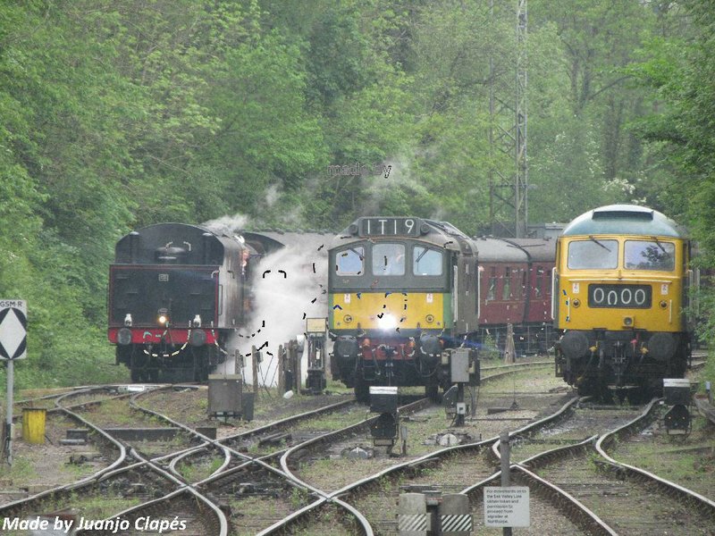 UK2024-C-1130.JPG