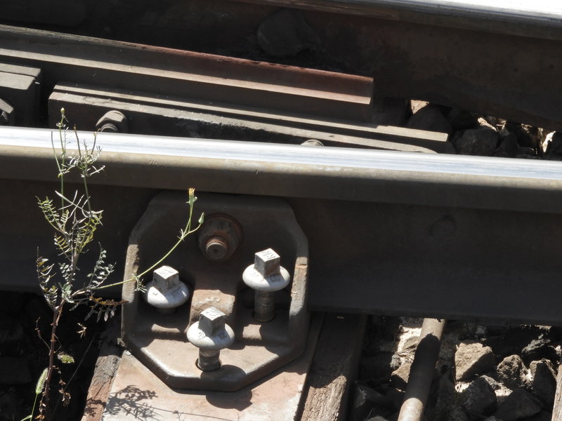 DSCN3976.JPG