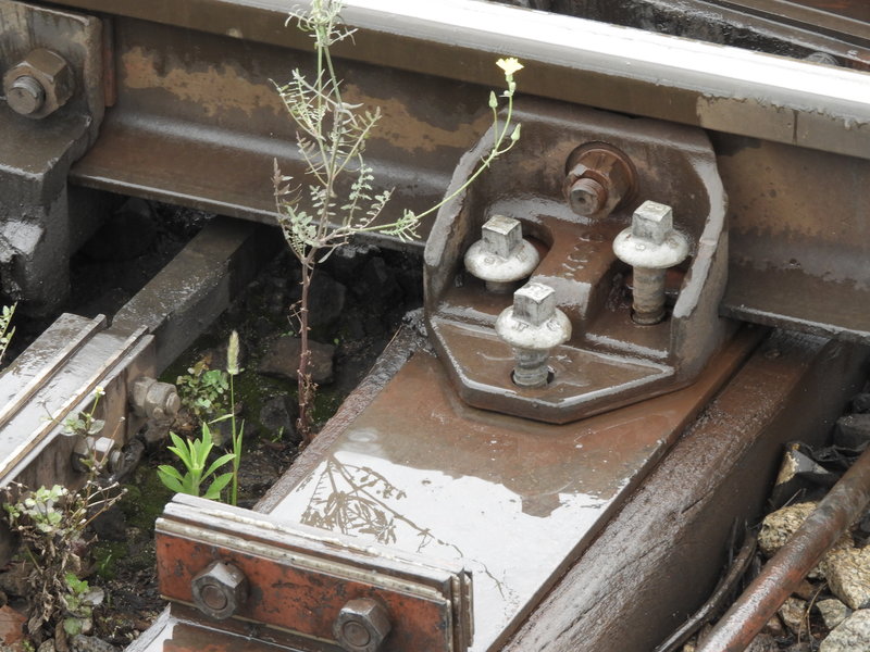 DSCN3982.JPG