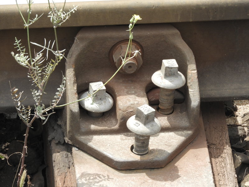DSCN3990.JPG