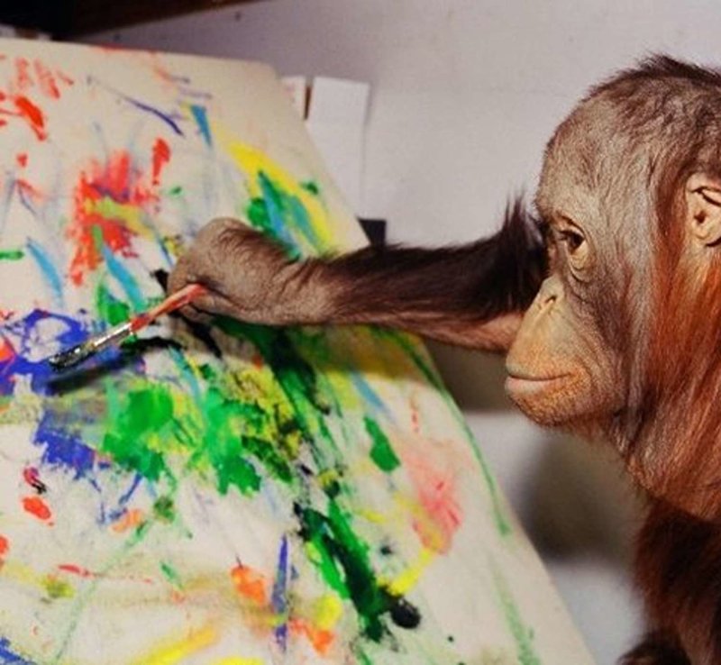 monkey-5-1-8ac2ca865ece4e72a203a6d79fa47739.jpg