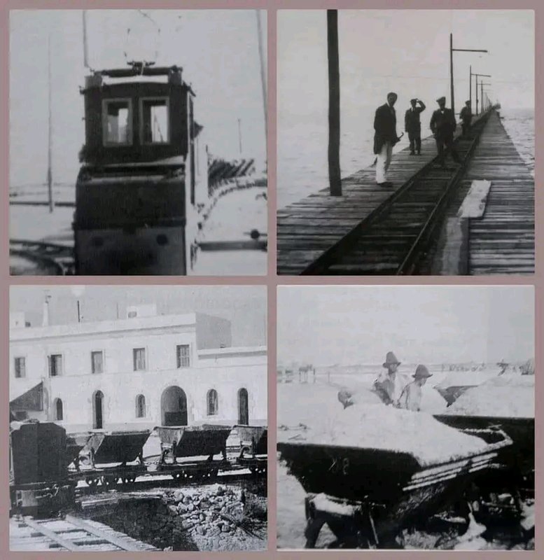 1719319266514.jpg