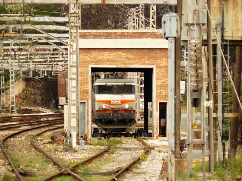 P1050317.JPG