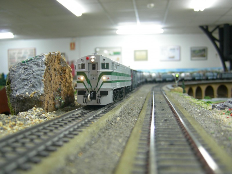 DSCN0407.JPG