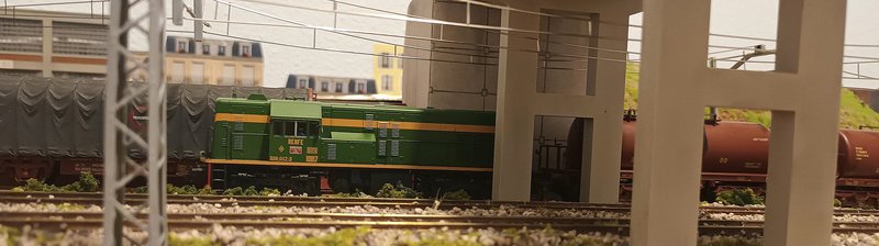 20240704_190709.jpeg