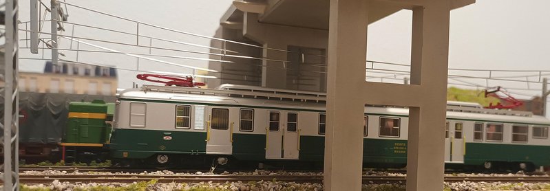 20240704_191226.jpeg