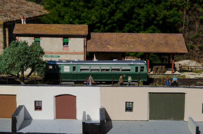 11f.jpg