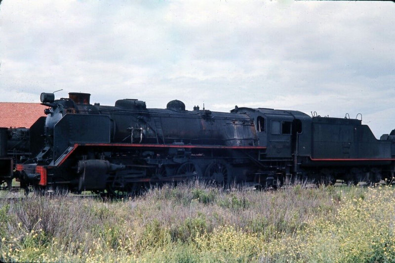 190144.jpg