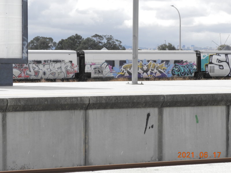 DSCN7519.JPG