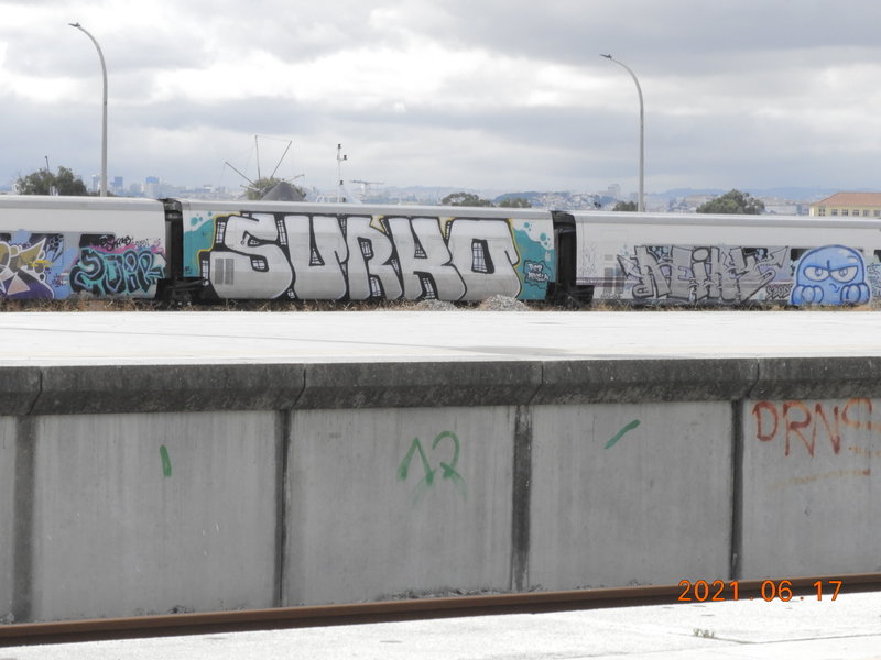 DSCN7520.JPG