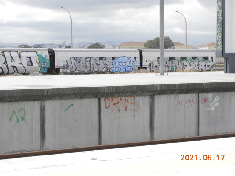 DSCN7521.JPG