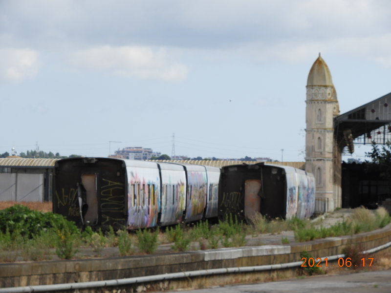 DSCN7526.JPG