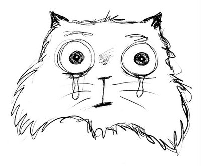 gato_lloron2[1].jpg