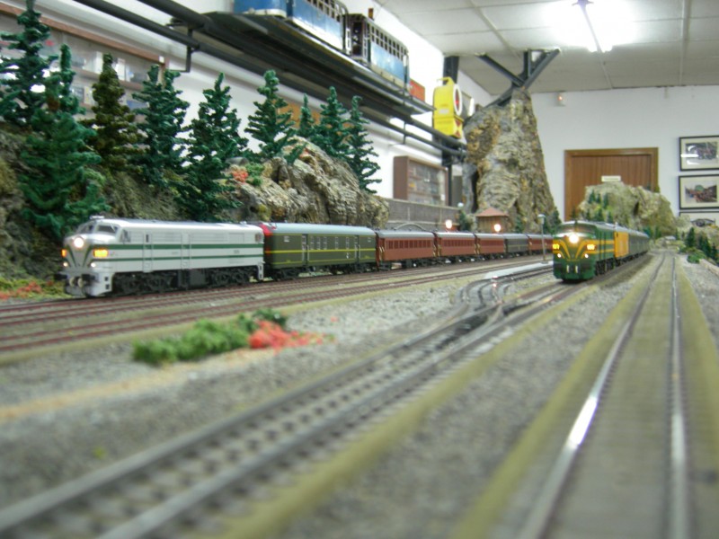 DSCN0411.JPG