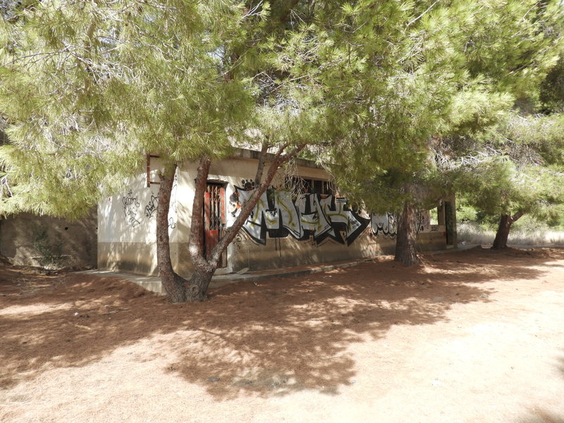DSCN7265.JPG