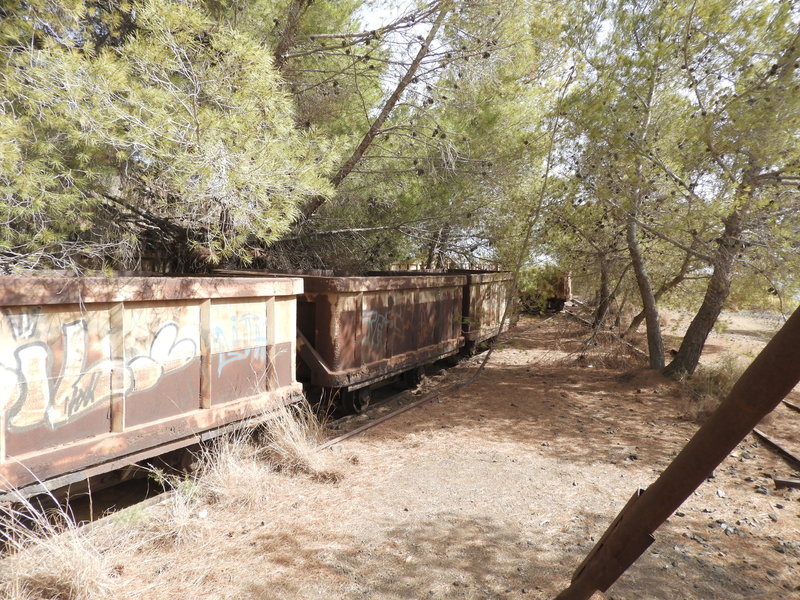 DSCN7270.JPG