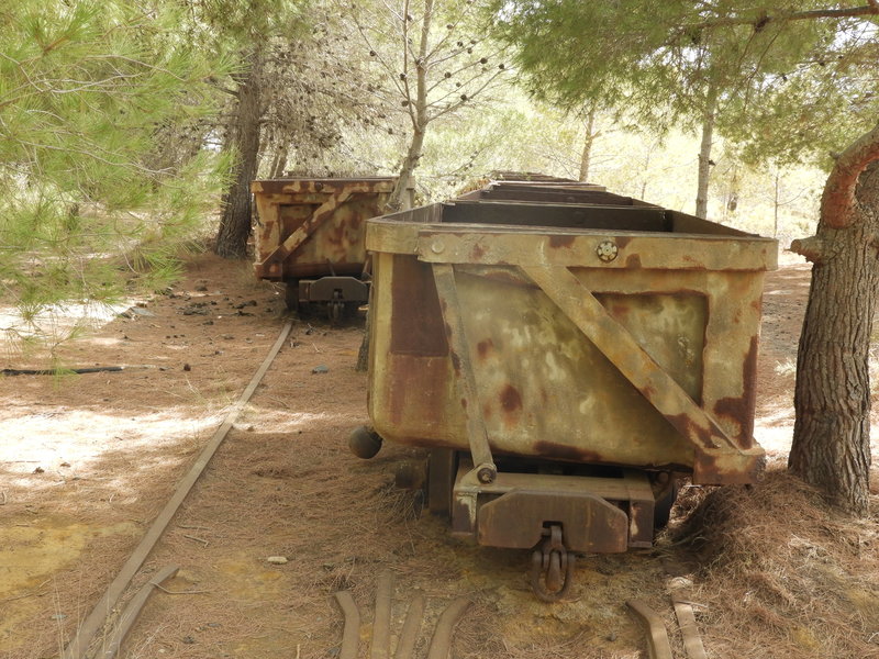 DSCN7284.JPG