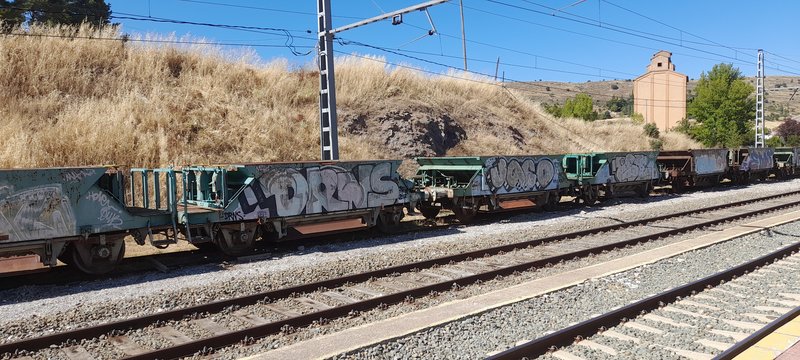 20240816_165517.jpg