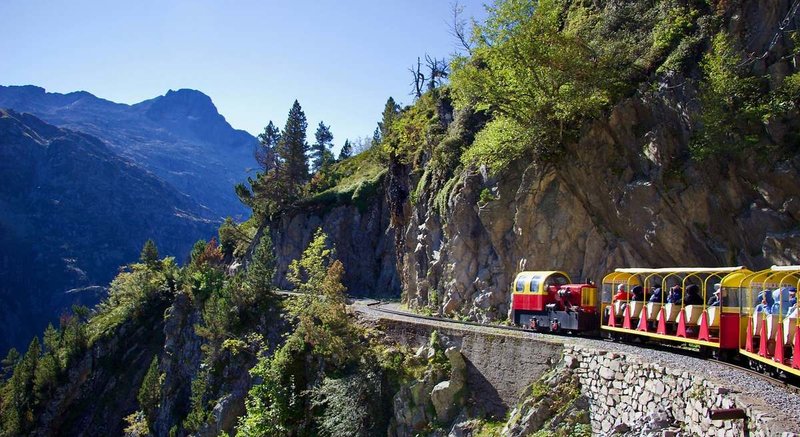 1200x655_tren.jpg