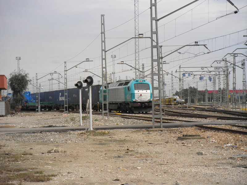 PB260221.JPG