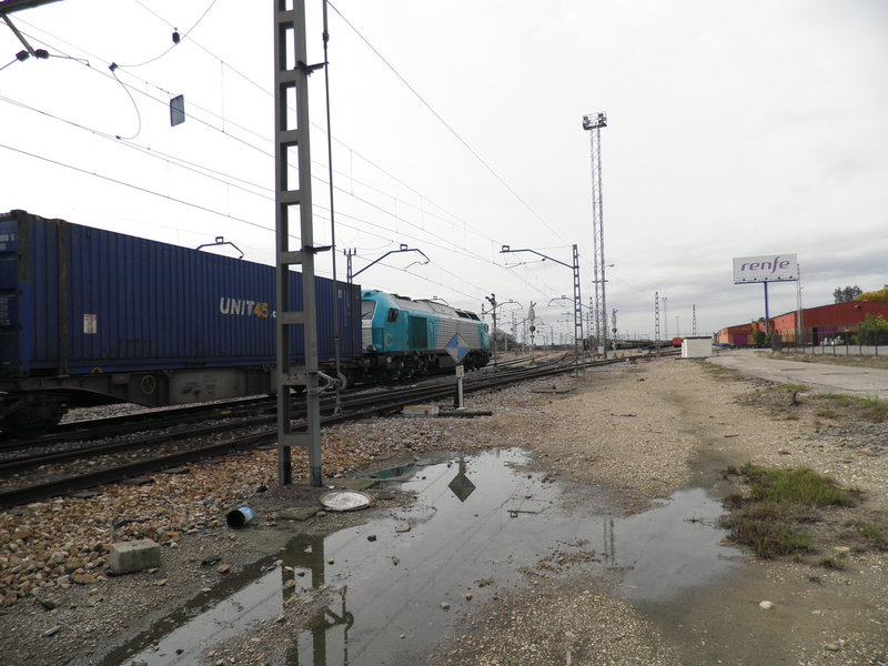 PB260225.JPG