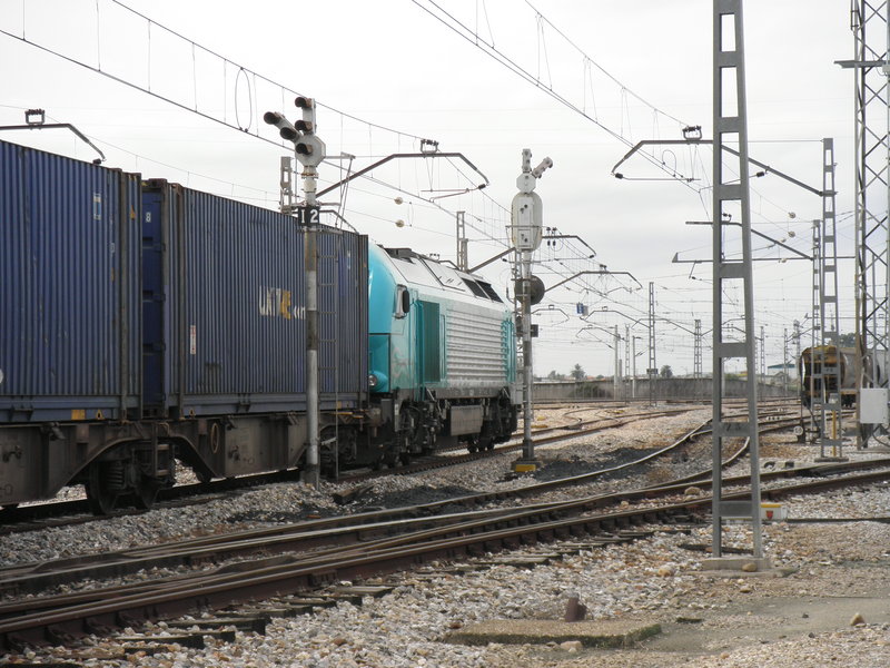 PB260226.JPG