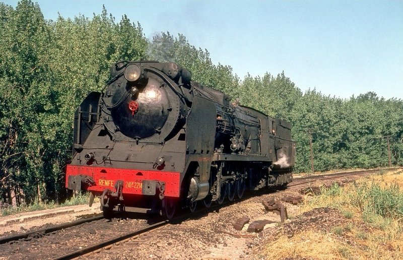 431.jpg