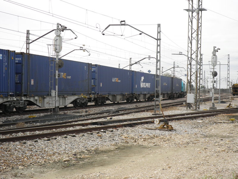 PB260228.JPG