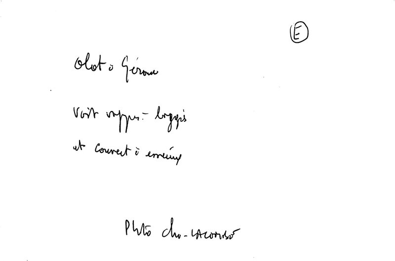 572.jpg