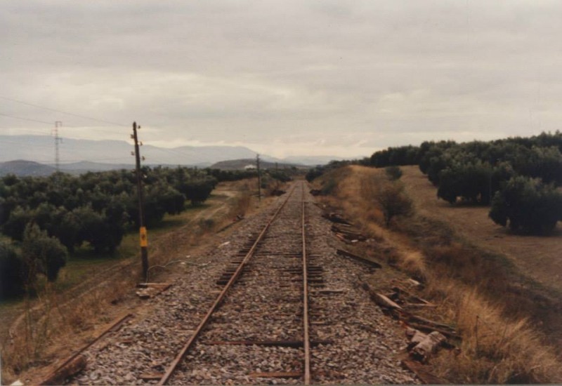 190145.jpg