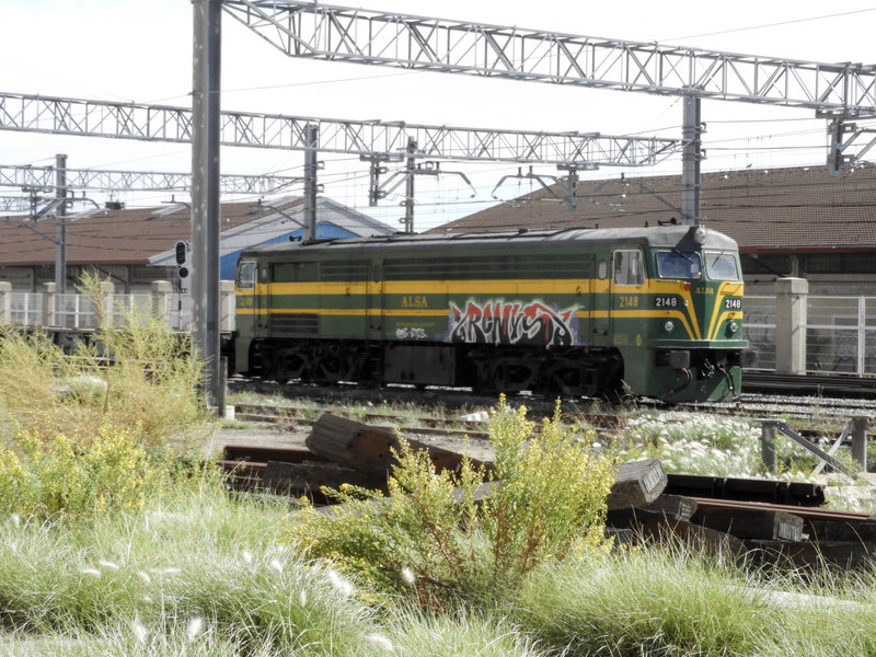 DSCN8877.JPG