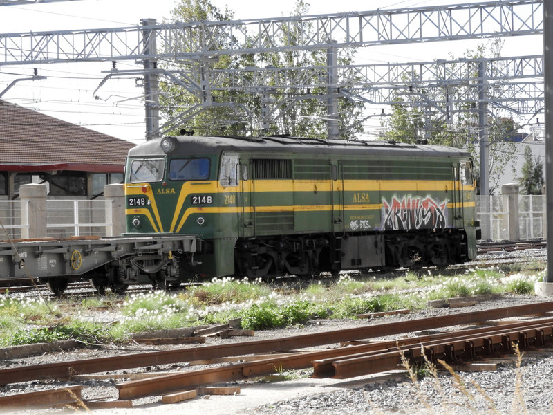DSCN8879.JPG