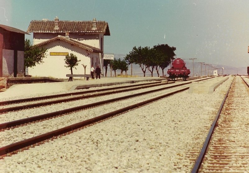 190153.jpg