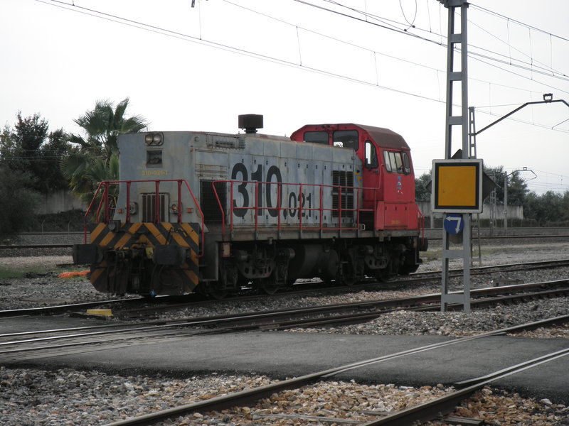 PB260235.JPG