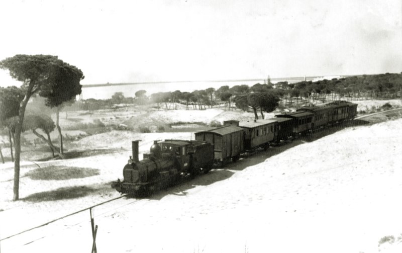 190162.jpg