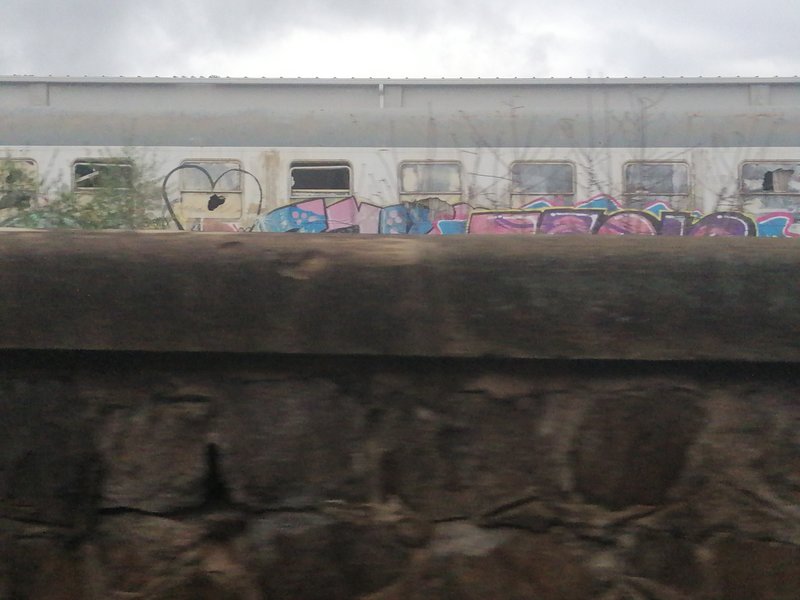 IMG_20211125_114126.jpg