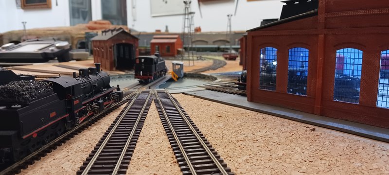 20241114_211913.jpg