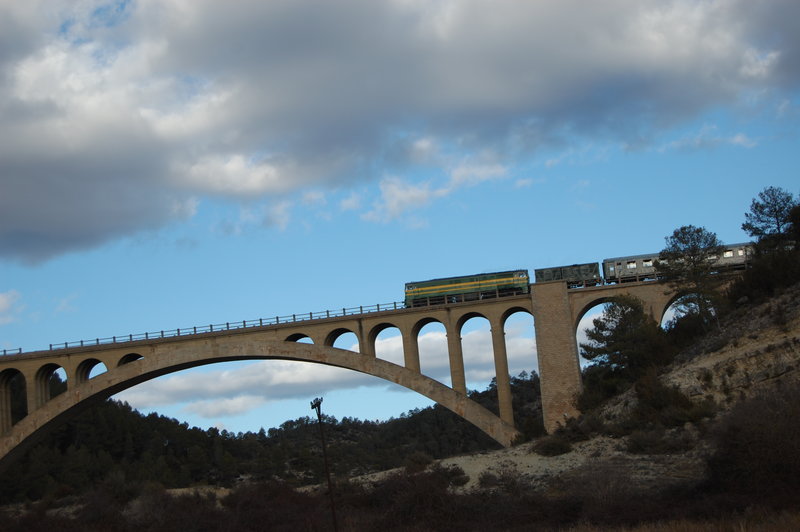DSC_3915.JPG