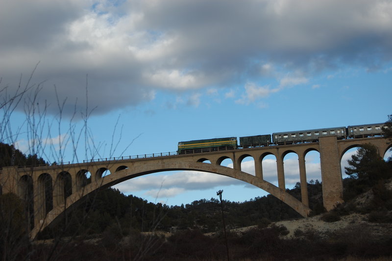 DSC_3919.JPG
