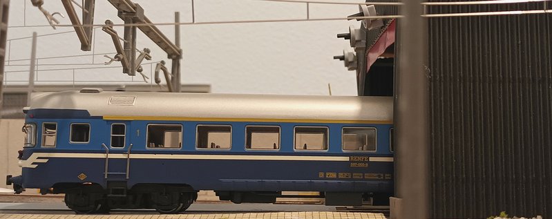 20241026_124903.jpeg