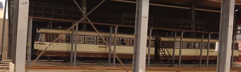 20241026_132058.jpeg