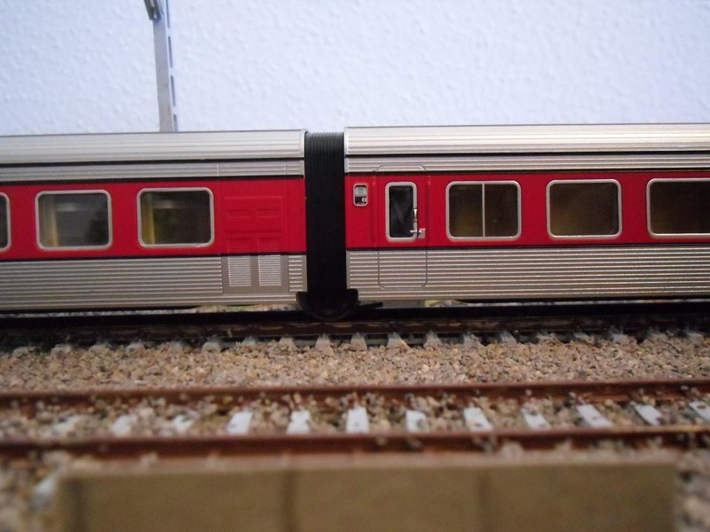 CIMG7505.JPG