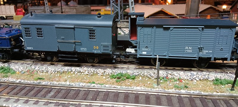 IMG20241201121101.jpg