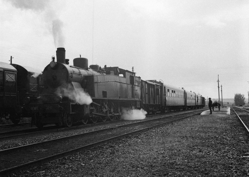 190164.jpg