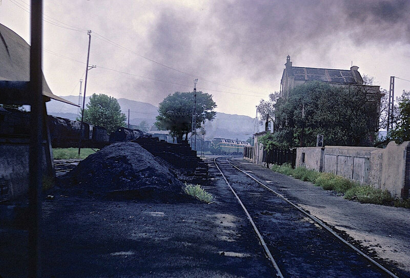 190167.jpg