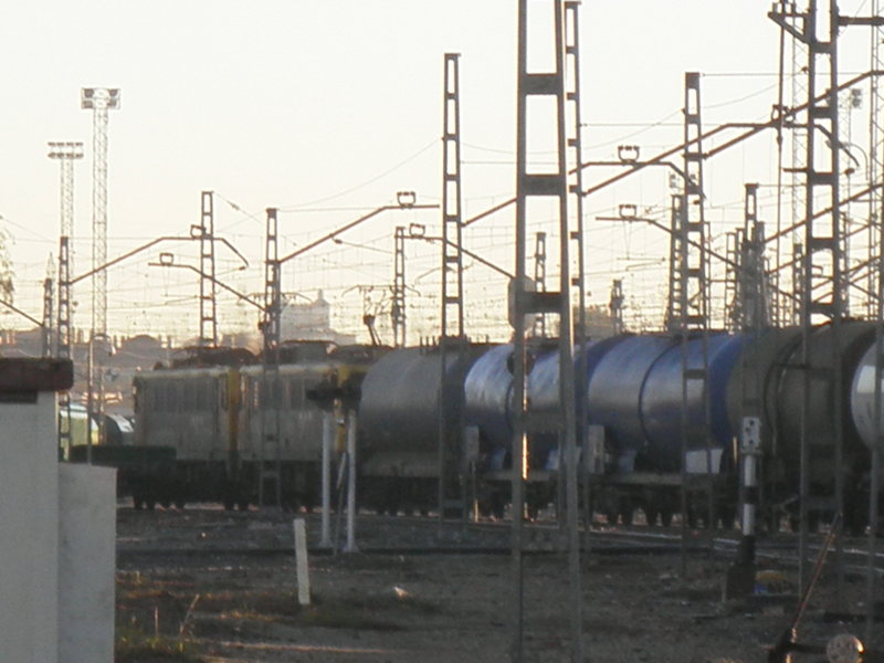 PC030266.JPG