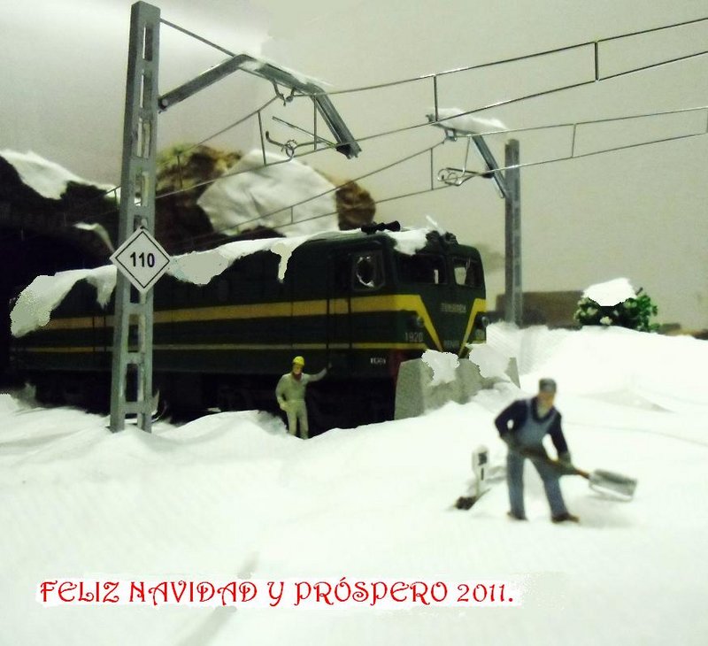 CIMG7443.JPG