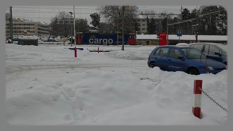 cargo1.jpg