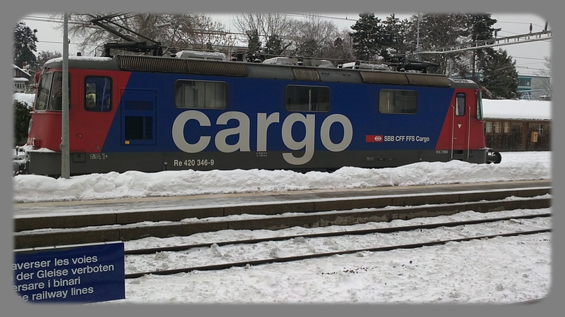 cardo3.jpg