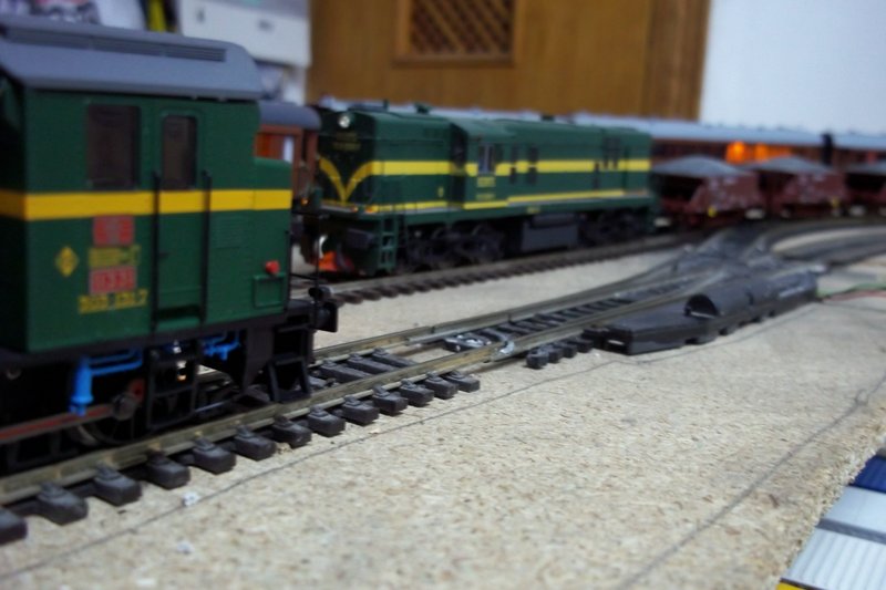 100_0384.JPG